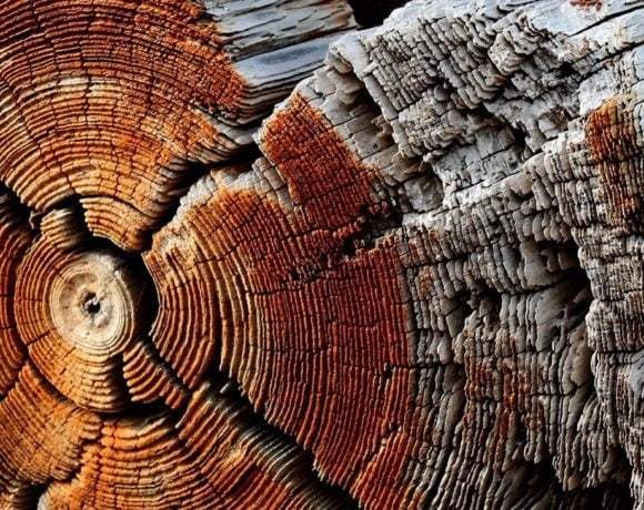 5 способов использования дерева в интерьере