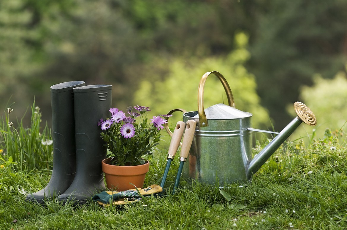 Как защитить и ухаживать за садом весной: полезные советы