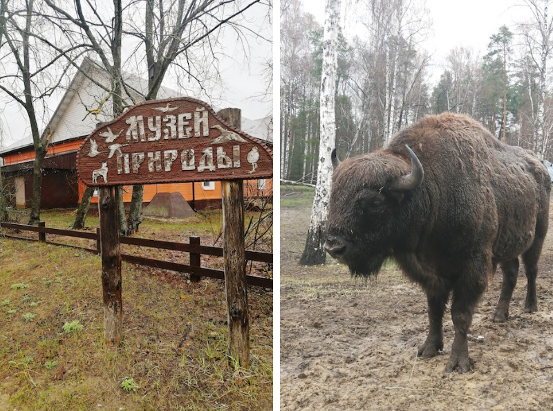 Городковичи рязанская область карта