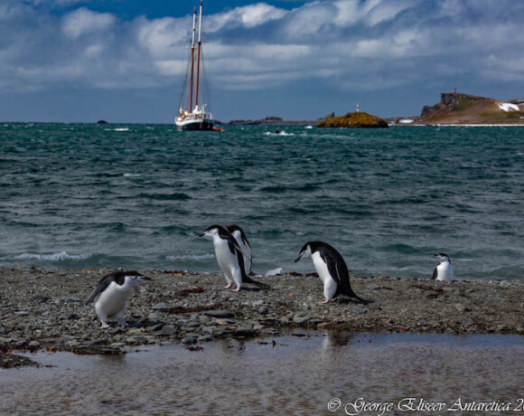 Антарктида: российская станция, пингвины и место, где можно перешагнуть из России в Чили